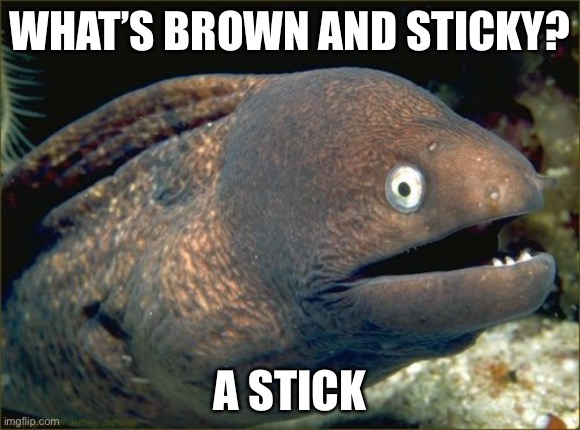Bad Joke Eel Meme | WHAT’S BROWN AND STICKY? A STICK | image tagged in memes,bad joke eel | made w/ Imgflip meme maker