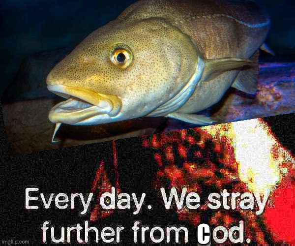 Every day we stray further from cod Blank Meme Template