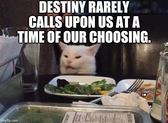 Salad cat | DESTINY RARELY CALLS UPON US AT A TIME OF OUR CHOOSING. J M | image tagged in salad cat | made w/ Imgflip meme maker