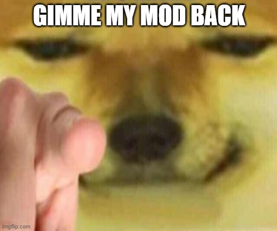 Cheems Pointing At You | GIMME MY MOD BACK | image tagged in cheems pointing at you | made w/ Imgflip meme maker