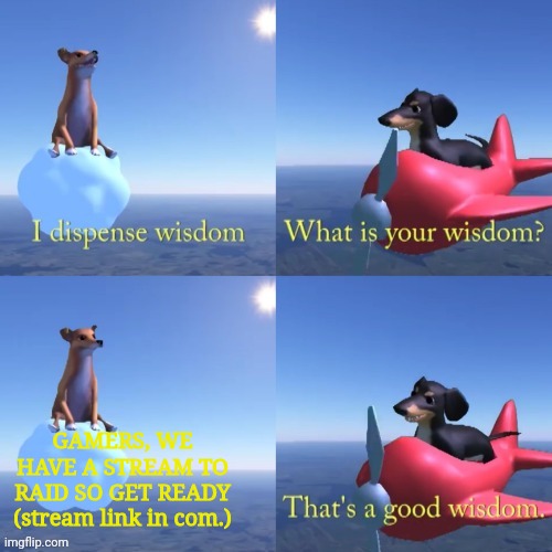The dog of wisdom | GAMERS, WE HAVE A STREAM TO RAID SO GET READY (stream link in com.) | image tagged in the dog of wisdom,gamers raid,gamers strike back,video game haters,oh wow are you actually reading these tags | made w/ Imgflip meme maker