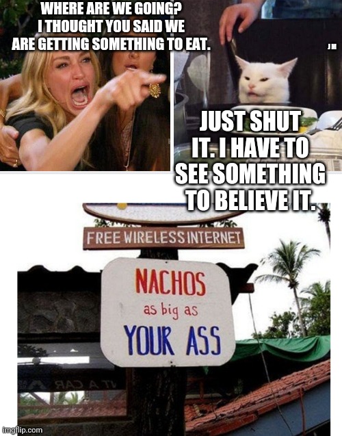 WHERE ARE WE GOING? I THOUGHT YOU SAID WE ARE GETTING SOMETHING TO EAT. J M; JUST SHUT IT. I HAVE TO SEE SOMETHING TO BELIEVE IT. | image tagged in smudge the cat | made w/ Imgflip meme maker