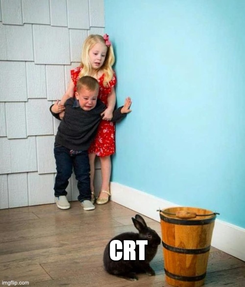 Children scared of rabbit | CRT | image tagged in children scared of rabbit | made w/ Imgflip meme maker