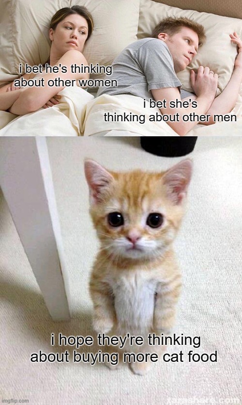 fooood | i bet he's thinking about other women; i bet she's thinking about other men; i hope they're thinking about buying more cat food | image tagged in memes,i bet he's thinking about other women,cute cat | made w/ Imgflip meme maker