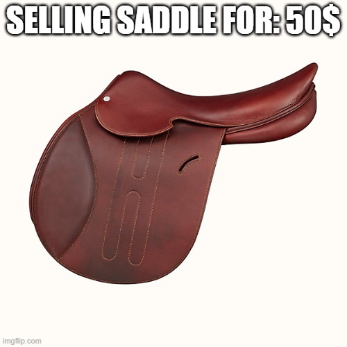 SELLING SADDLE FOR: 50$ | made w/ Imgflip meme maker