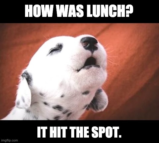 Dalmatian | HOW WAS LUNCH? IT HIT THE SPOT. | image tagged in dalmation puppy | made w/ Imgflip meme maker