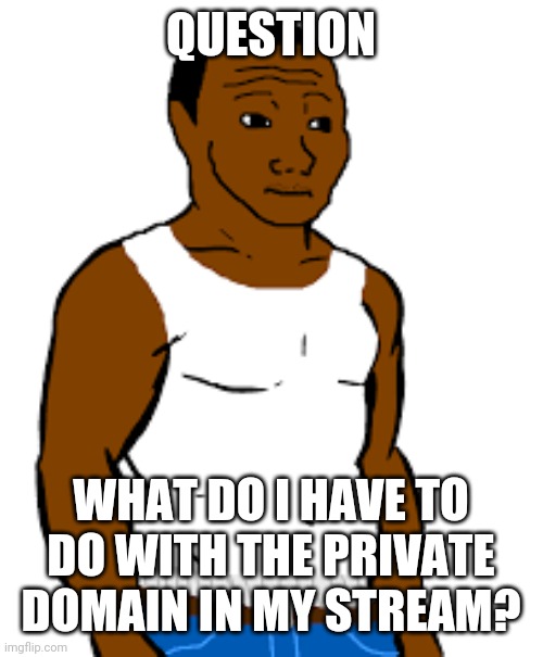 carl johnson | QUESTION; WHAT DO I HAVE TO DO WITH THE PRIVATE DOMAIN IN MY STREAM? | image tagged in carl johnson | made w/ Imgflip meme maker