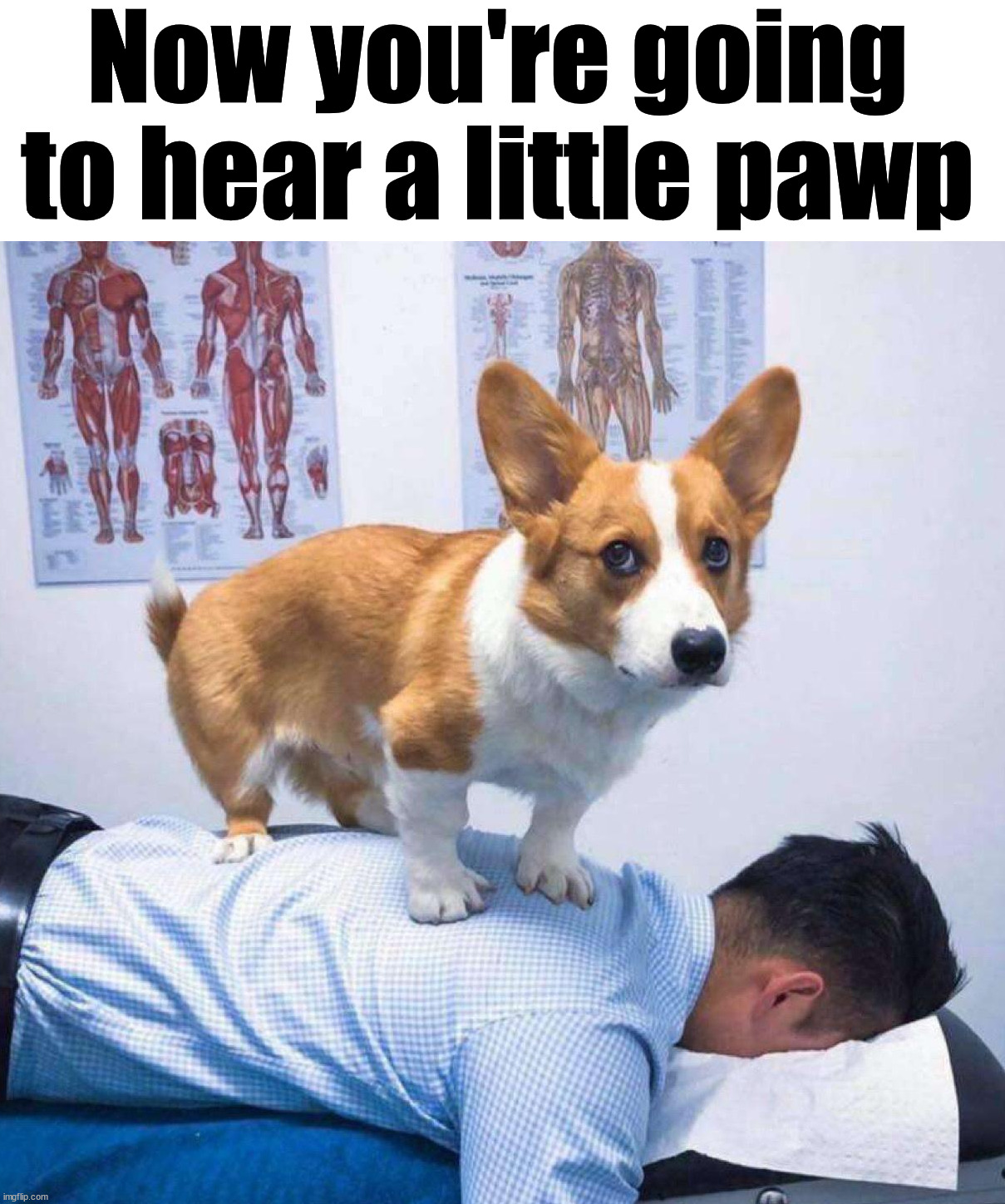 Now you're going to hear a little pawp | image tagged in dogs | made w/ Imgflip meme maker