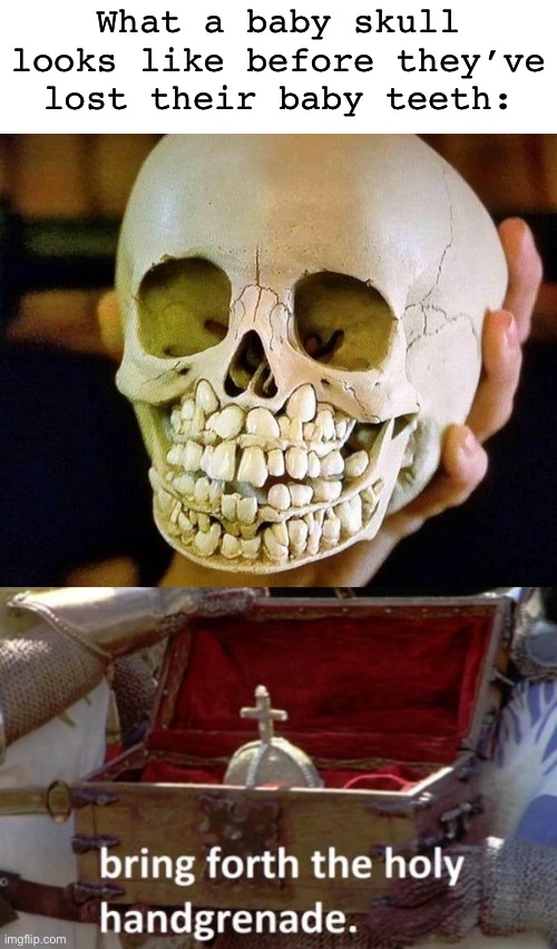 This is too cursed to look at | What a baby skull looks like before they’ve lost their baby teeth: | image tagged in bring forth the holy hand grenade,memes,unfunny | made w/ Imgflip meme maker