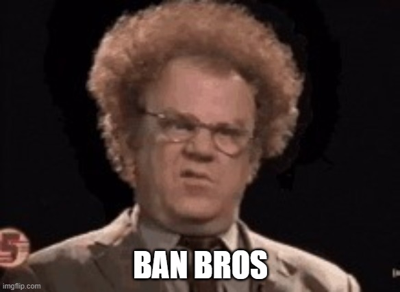 Ban Bros | BAN BROS | image tagged in ban | made w/ Imgflip meme maker