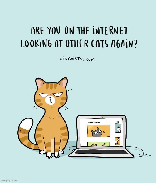 A Cat's Way Of Thinking | image tagged in memes,comics,the internet,what are you looking at,other,cats | made w/ Imgflip meme maker