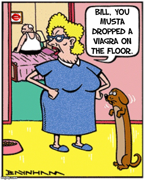 If your animal is stiff more than 4 hours take 'em to a vet |  BILL, YOU
MUSTA
DROPPED A
VIAGRA ON
THE FLOOR. | image tagged in vince vance,viagra,memes,comics/cartoons,dogs,john baynham | made w/ Imgflip meme maker