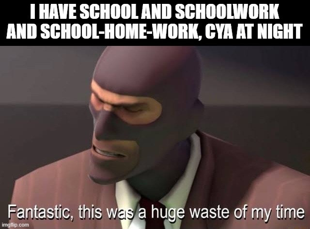 Fantastic, this was a huge waste of my time | I HAVE SCHOOL AND SCHOOLWORK AND SCHOOL-HOME-WORK, CYA AT NIGHT | image tagged in fantastic this was a huge waste of my time | made w/ Imgflip meme maker