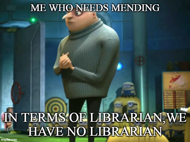 Not even a village | ME WHO NEEDS MENDING; IN TERMS OF LIBRARIAN,WE HAVE NO LIBRARIAN | image tagged in in terms of money we have no money | made w/ Imgflip meme maker