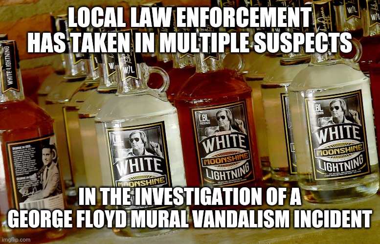 got you now | LOCAL LAW ENFORCEMENT HAS TAKEN IN MULTIPLE SUSPECTS; IN THE INVESTIGATION OF A GEORGE FLOYD MURAL VANDALISM INCIDENT | image tagged in memes,george floyd,racism | made w/ Imgflip meme maker