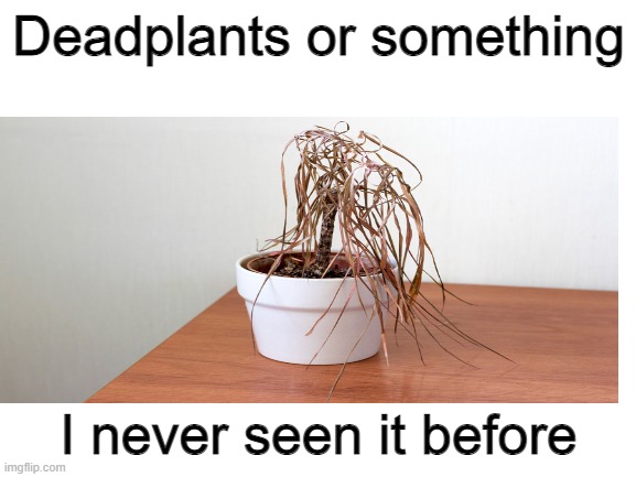 I never seen it beffore |  Deadplants or something; I never seen it before | image tagged in memes,funny,plants vs zombies | made w/ Imgflip meme maker