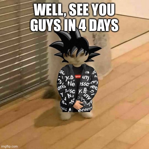 goku drip cat | WELL, SEE YOU GUYS IN 4 DAYS | image tagged in goku drip cat | made w/ Imgflip meme maker