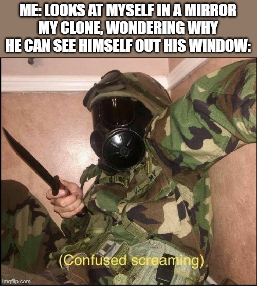 confused screaming but with gas mask | ME: LOOKS AT MYSELF IN A MIRROR
MY CLONE, WONDERING WHY HE CAN SEE HIMSELF OUT HIS WINDOW: | image tagged in confused screaming but with gas mask | made w/ Imgflip meme maker
