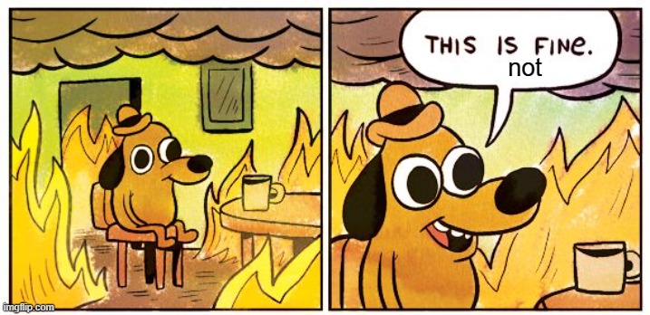 This Is Fine Meme | not | image tagged in memes,this is fine | made w/ Imgflip meme maker