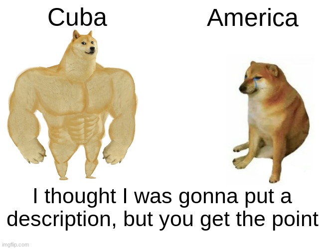 ok | Cuba; America; I thought I was gonna put a description, but you get the point | image tagged in memes,buff doge vs cheems | made w/ Imgflip meme maker