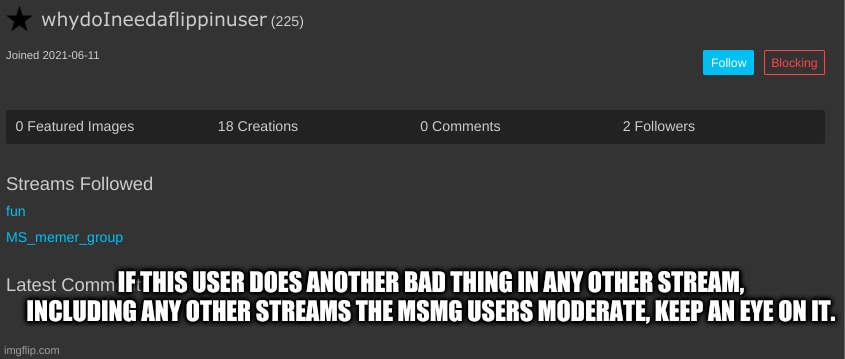 IF THIS USER DOES ANOTHER BAD THING IN ANY OTHER STREAM, INCLUDING ANY OTHER STREAMS THE MSMG USERS MODERATE, KEEP AN EYE ON IT. | made w/ Imgflip meme maker