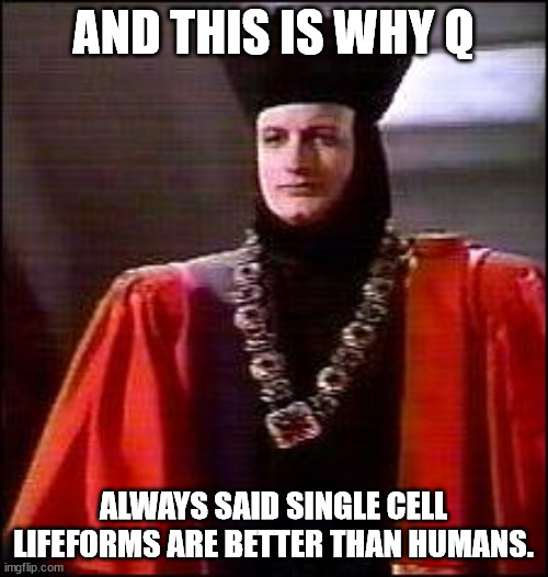 Q Star trek | AND THIS IS WHY Q ALWAYS SAID SINGLE CELL LIFEFORMS ARE BETTER THAN HUMANS. | image tagged in q star trek | made w/ Imgflip meme maker