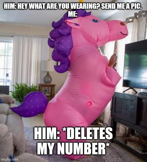Unicorn | HIM: HEY WHAT ARE YOU WEARING? SEND ME A PIC. 

ME:; HIM: *DELETES MY NUMBER* | image tagged in delete | made w/ Imgflip meme maker