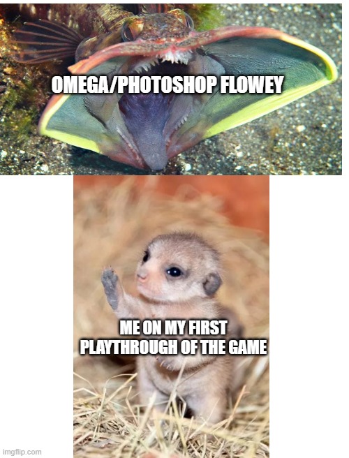 Undertale | OMEGA/PHOTOSHOP FLOWEY; ME ON MY FIRST PLAYTHROUGH OF THE GAME | image tagged in blank white template | made w/ Imgflip meme maker