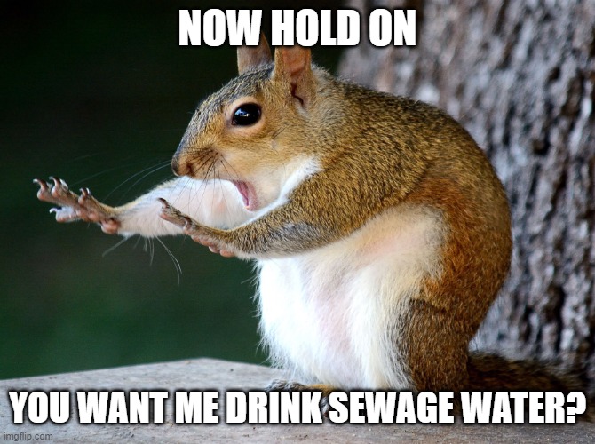 Now hold on one minute | NOW HOLD ON YOU WANT ME DRINK SEWAGE WATER? | image tagged in now hold on one minute | made w/ Imgflip meme maker