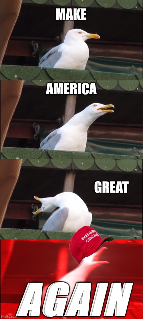 Inhaling Seagull | MAKE; AMERICA; GREAT; AGAIN | image tagged in memes,inhaling seagull | made w/ Imgflip meme maker