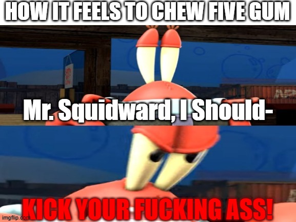 how it feels to chew five gum | HOW IT FEELS TO CHEW FIVE GUM; Mr. Squidward, I Should-; KICK YOUR FUCKING ASS! | image tagged in 5 gum | made w/ Imgflip meme maker