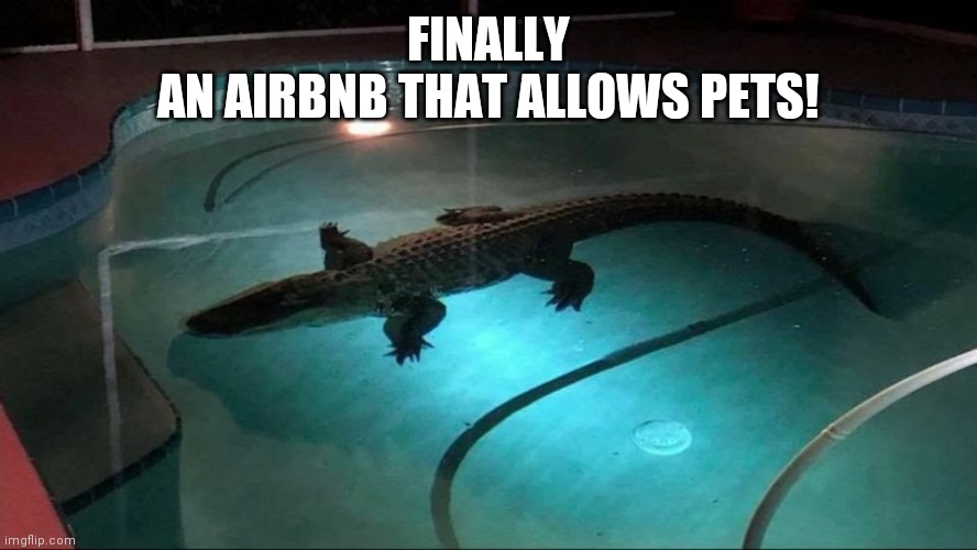 Airbnb | FINALLY
AN AIRBNB THAT ALLOWS PETS! | image tagged in pets,paradise | made w/ Imgflip meme maker