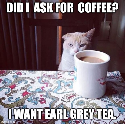 Cat Doesn't Like this Coffee | DID I  ASK FOR  COFFEE? I WANT EARL GREY TEA. | image tagged in cat doesn't like this coffee | made w/ Imgflip meme maker