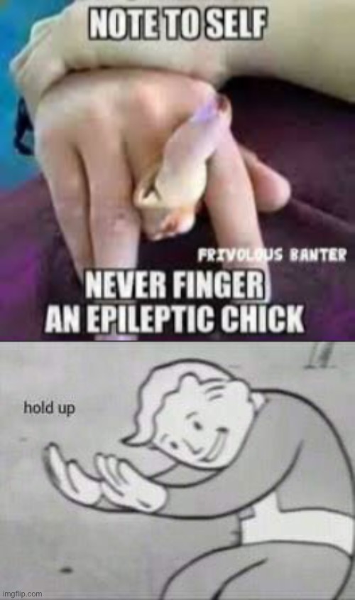 what the heck | image tagged in fallout hold up,dark humor,epilepsy,offensive | made w/ Imgflip meme maker