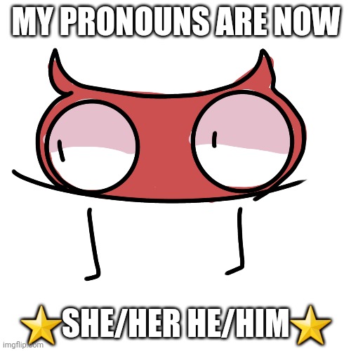 I've grown a liking to my new prounouns | MY PRONOUNS ARE NOW; ⭐SHE/HER HE/HIM⭐ | made w/ Imgflip meme maker