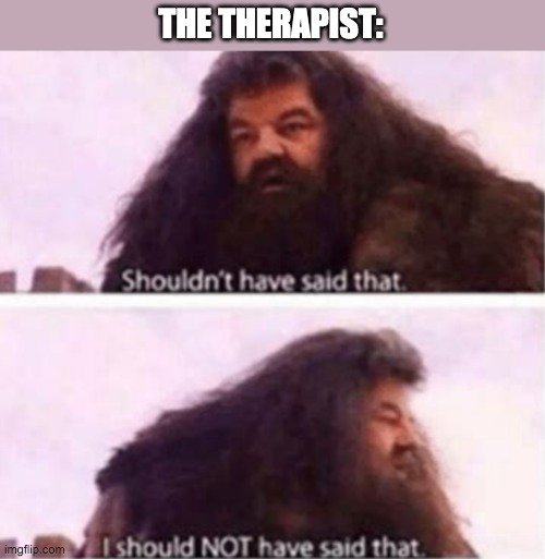 Shouldn't have said that | THE THERAPIST: | image tagged in shouldn't have said that | made w/ Imgflip meme maker