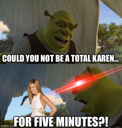 Shrek For Five Minutes | COULD YOU NOT BE A TOTAL KAREN…; FOR FIVE MINUTES?! | image tagged in shrek for five minutes,friends,karens,rachel green,shrek,memes | made w/ Imgflip meme maker