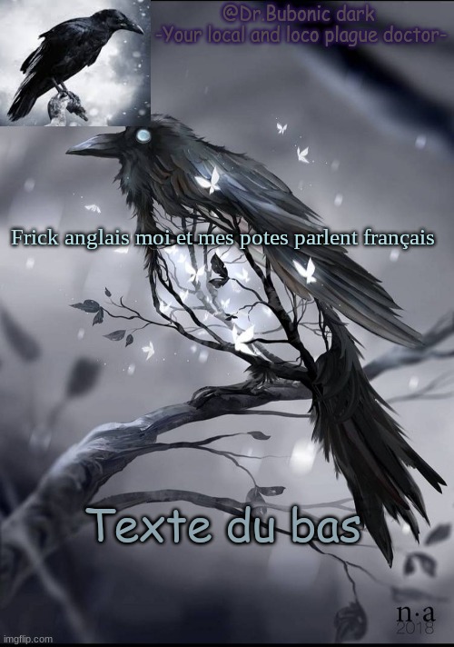 Titre de l'image | Frick anglais moi et mes potes parlent français; Texte du bas | image tagged in another raven temp | made w/ Imgflip meme maker