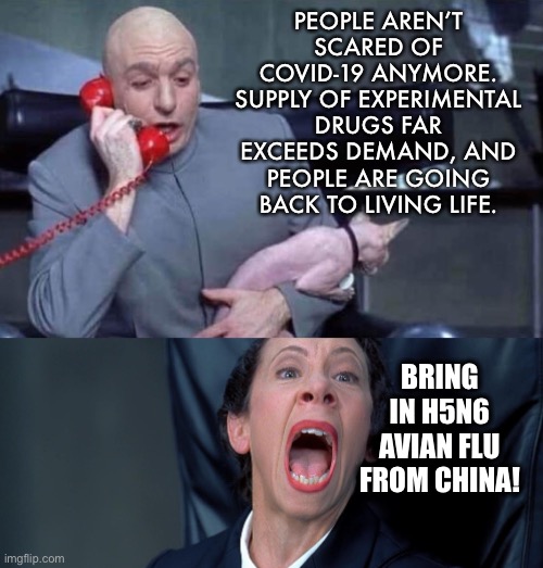 Avian Flu is the next scare bug |  PEOPLE AREN’T SCARED OF COVID-19 ANYMORE. SUPPLY OF EXPERIMENTAL DRUGS FAR EXCEEDS DEMAND, AND PEOPLE ARE GOING BACK TO LIVING LIFE. BRING IN H5N6 AVIAN FLU FROM CHINA! | image tagged in dr evil and frau,memes,flu,covid,media,fake news | made w/ Imgflip meme maker