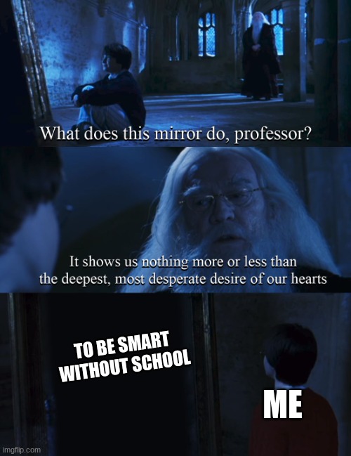 E |  TO BE SMART WITHOUT SCHOOL; ME | image tagged in harry potter mirror | made w/ Imgflip meme maker