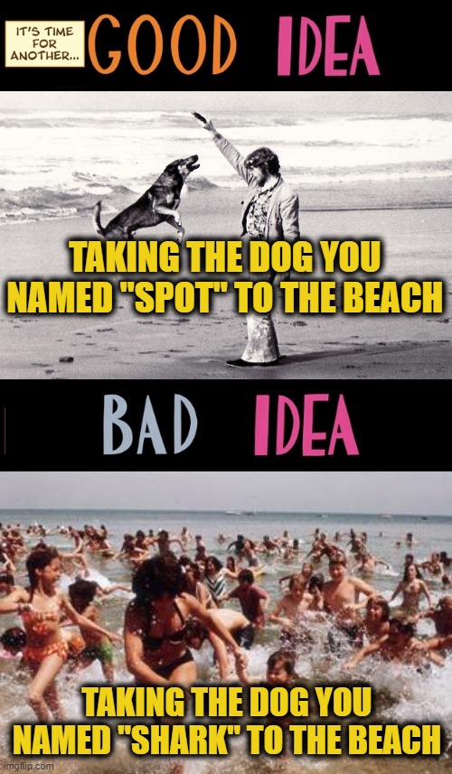 Happy Shark Week |  TAKING THE DOG YOU NAMED "SPOT" TO THE BEACH; TAKING THE DOG YOU NAMED "SHARK" TO THE BEACH | image tagged in good idea/bad idea | made w/ Imgflip meme maker