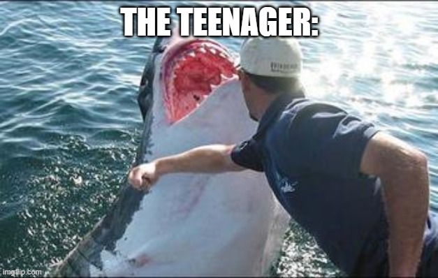 Shark punch | THE TEENAGER: | image tagged in shark punch | made w/ Imgflip meme maker