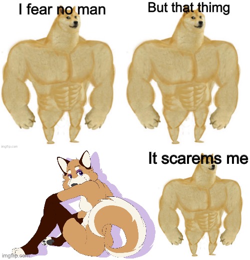 What have they done to those poor shins inus | It scarems me | image tagged in buff cheems | made w/ Imgflip meme maker