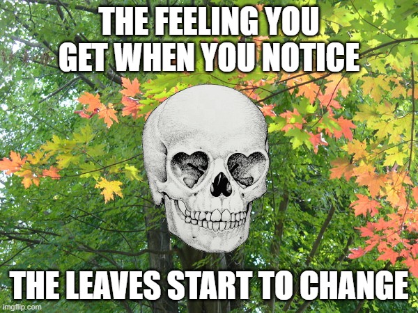 Fall IS Coming - The Feeling You Get When You Notice The Leaves Change | THE FEELING YOU GET WHEN YOU NOTICE; THE LEAVES START TO CHANGE | image tagged in fall is coming | made w/ Imgflip meme maker