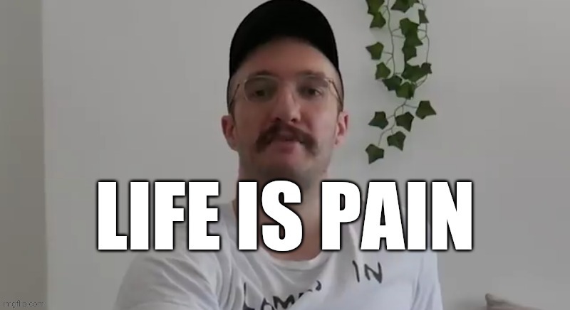 Life is pain | image tagged in life is pain | made w/ Imgflip meme maker