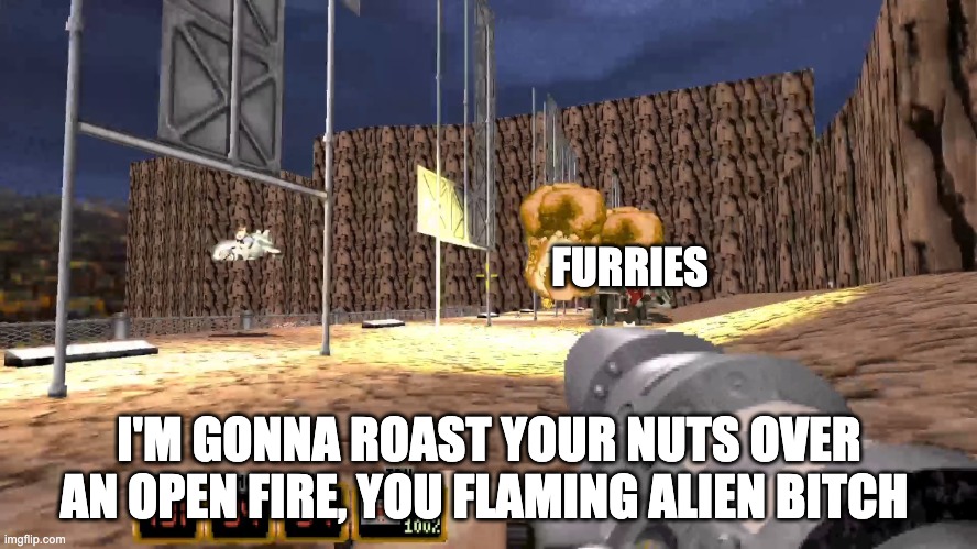 I'm gonna roast your nuts over an open fire, you flaming alien bitch | FURRIES; I'M GONNA ROAST YOUR NUTS OVER AN OPEN FIRE, YOU FLAMING ALIEN BITCH | image tagged in duke nukem 3d | made w/ Imgflip meme maker