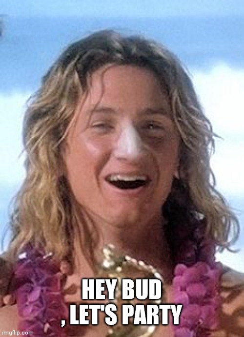 Dumb Surfer | HEY BUD , LET'S PARTY | image tagged in dumb surfer | made w/ Imgflip meme maker