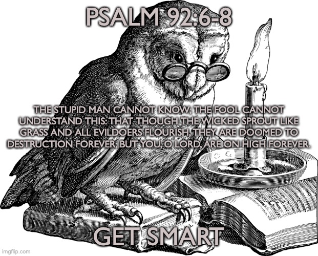 Wise Up | PSALM 92:6-8; THE STUPID MAN CANNOT KNOW; THE FOOL CANNOT UNDERSTAND THIS: THAT THOUGH THE WICKED SPROUT LIKE GRASS AND ALL EVILDOERS FLOURISH, THEY ARE DOOMED TO DESTRUCTION FOREVER; BUT YOU, O LORD, ARE ON HIGH FOREVER. GET SMART | image tagged in rebellious,stubborn,ignorant | made w/ Imgflip meme maker