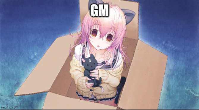 Mukou in a box | GM | image tagged in mukou in a box | made w/ Imgflip meme maker