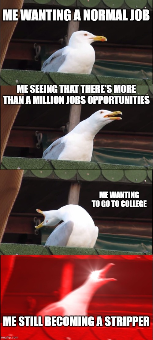 Hi :) |  ME WANTING A NORMAL JOB; ME SEEING THAT THERE'S MORE THAN A MILLION JOBS OPPORTUNITIES; ME WANTING TO GO TO COLLEGE; ME STILL BECOMING A STRIPPER | image tagged in memes,inhaling seagull,stripper,college | made w/ Imgflip meme maker